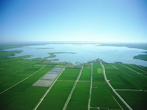 g__albufera