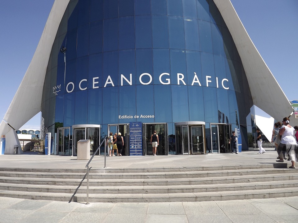 oceanografic-542766_960_720