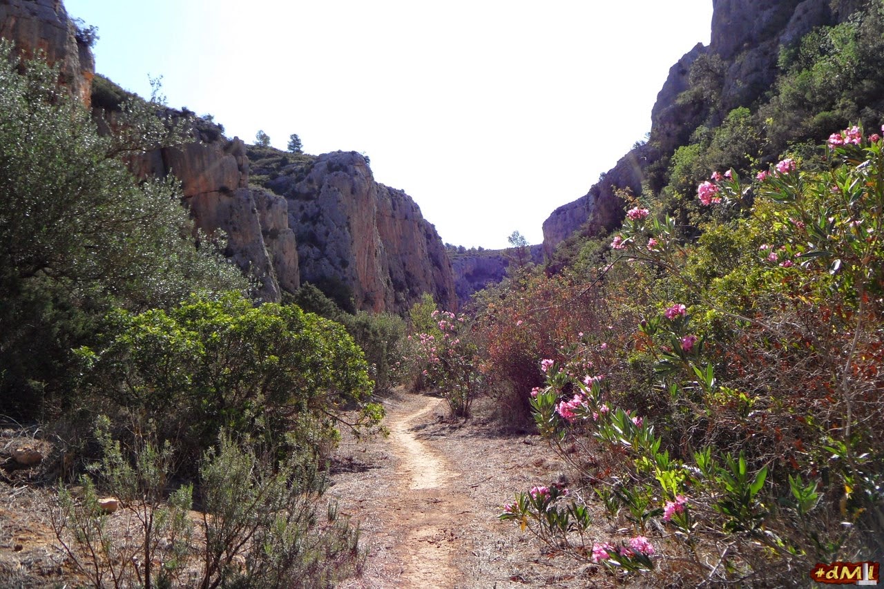 2014-bunol-barranco-del-carcalin-49